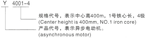 西安泰富西玛Y系列(H355-1000)高压YKK6302-2/2240KW三相异步电机型号说明